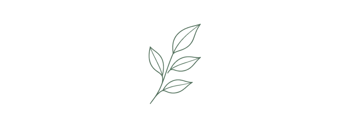 2D97D947-8C60-4100-9550-EE1630CF6421.PNG